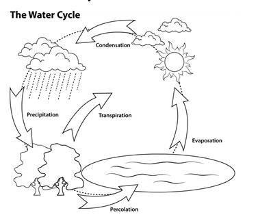 THE WATER CYCLE  MS KYLIES FOURTH GRADE