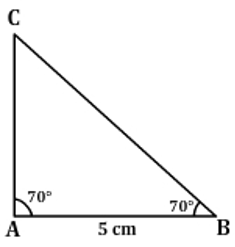Practically Geometry NCERT Questions - Practically Study Material