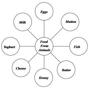 Food And Its Components - Practically Study Material