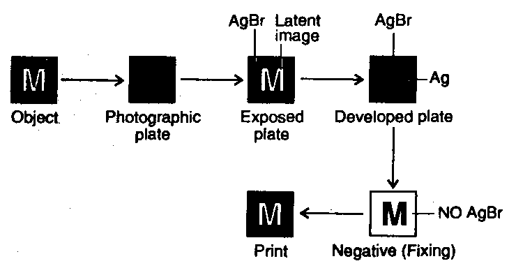 case study of d and f block elements