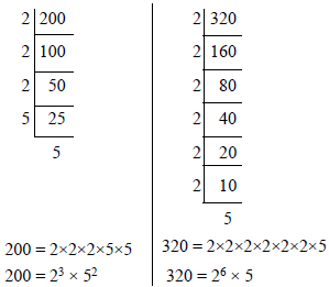 Number System Practically Study Material