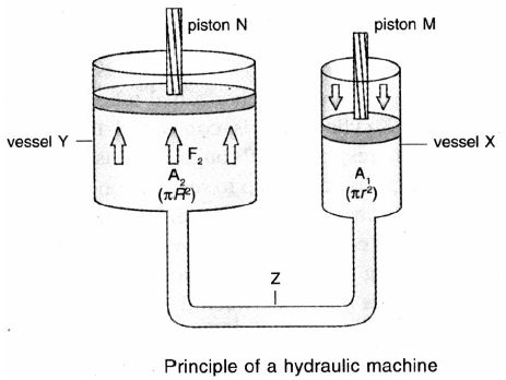 case study on force and pressure class 8