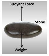 case study on force and pressure class 8