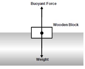 case study on force and pressure class 8