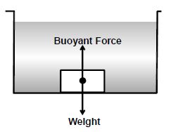 case study on force and pressure class 8