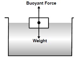 case study on force and pressure class 8