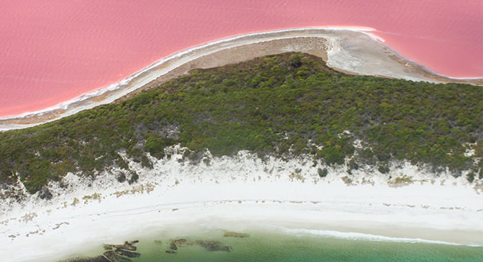 Lake Hillier: Pink Australian lake gets its colour from red and purple  microbes