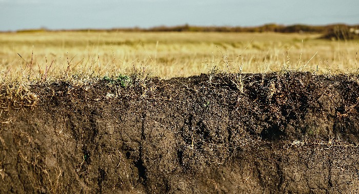 Soil: An Important Layer on Earth's Crust